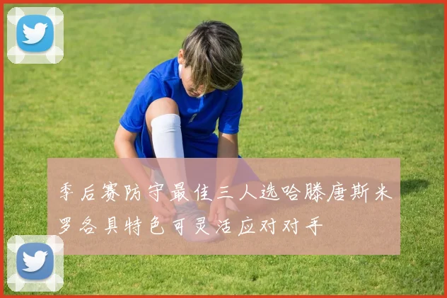 季后赛防守最佳三人选哈滕唐斯米罗各具特色可灵活应对对手