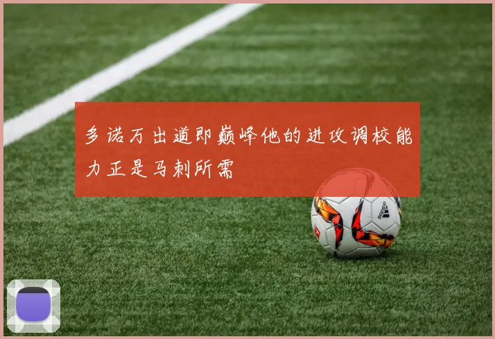多诺万出道即巅峰他的进攻调校能力正是马刺所需