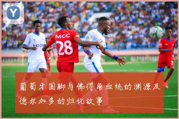 葡萄牙国脚与佛得角血统的渊源及德尔加多的归化故事