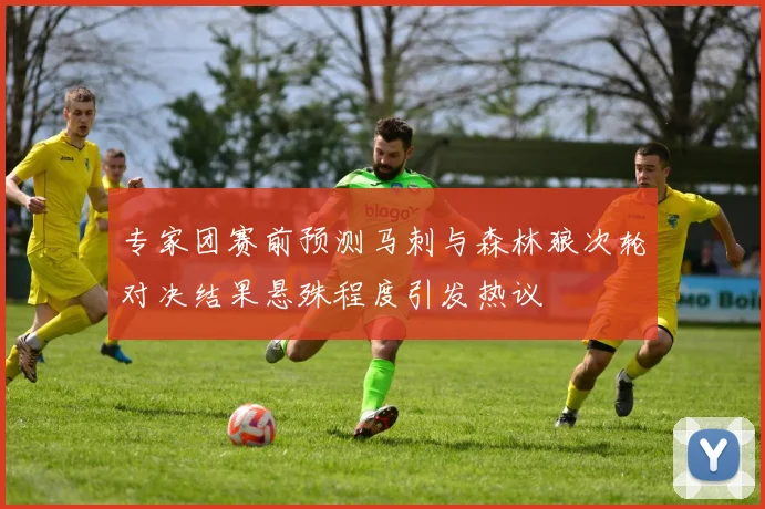 专家团赛前预测马刺与森林狼次轮对决结果悬殊程度引发热议